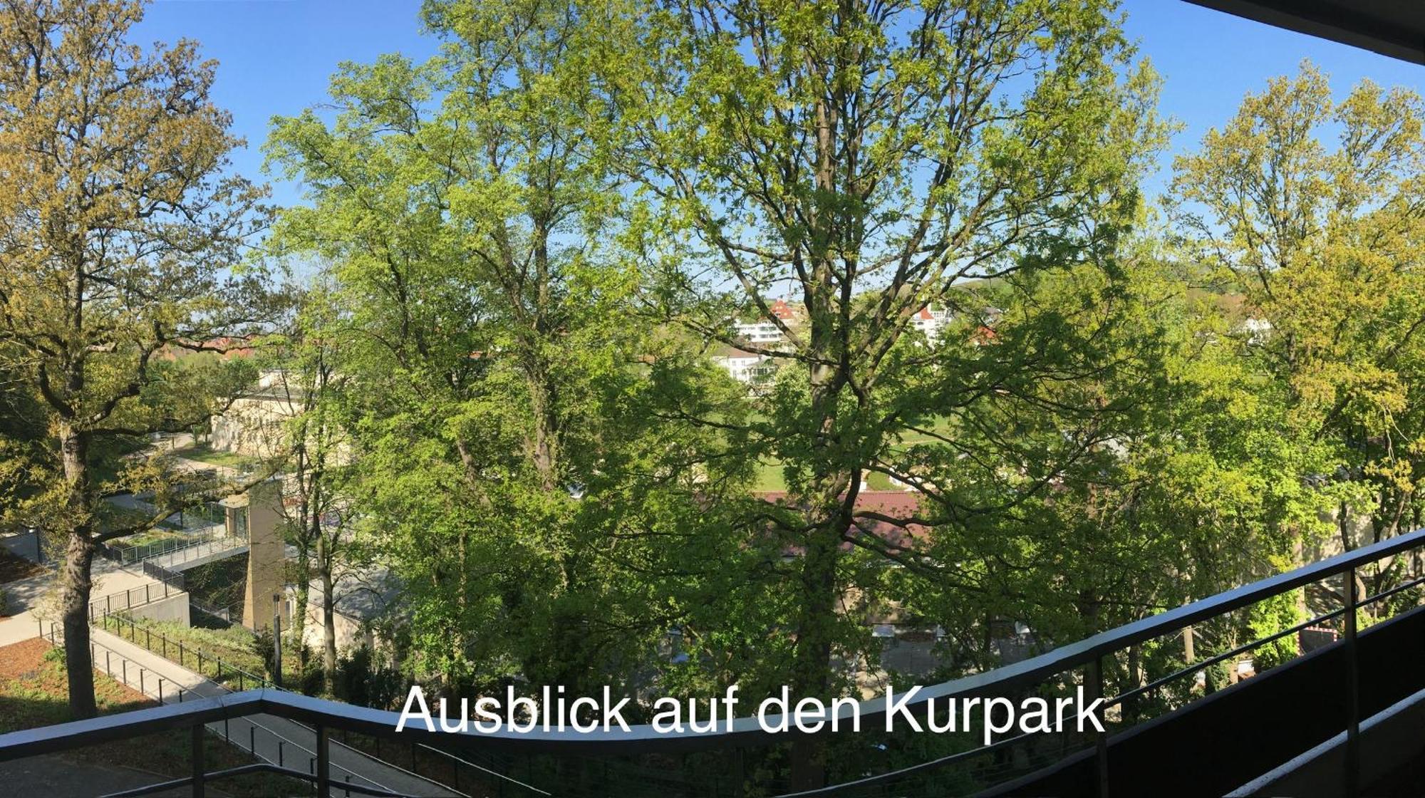 Appartementresidenz Am Kurpark - Ferienwohnungen Mit Pool & Sauna & Garage Бад-Зальцуфлен Номер фото